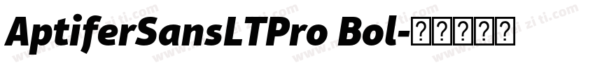 AptiferSansLTPro Bol字体转换